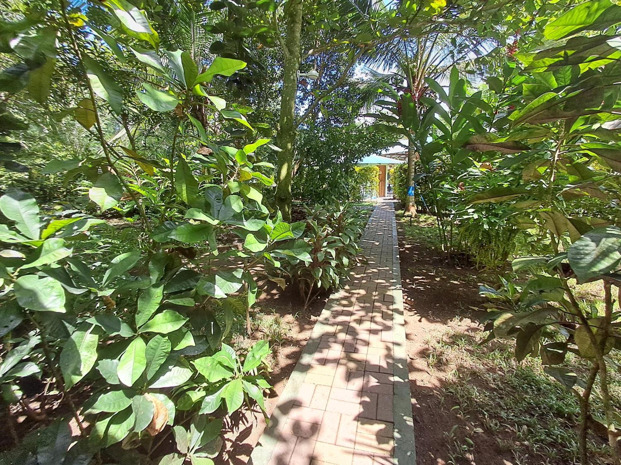 卡维塔New Caribe Point别墅 外观 照片